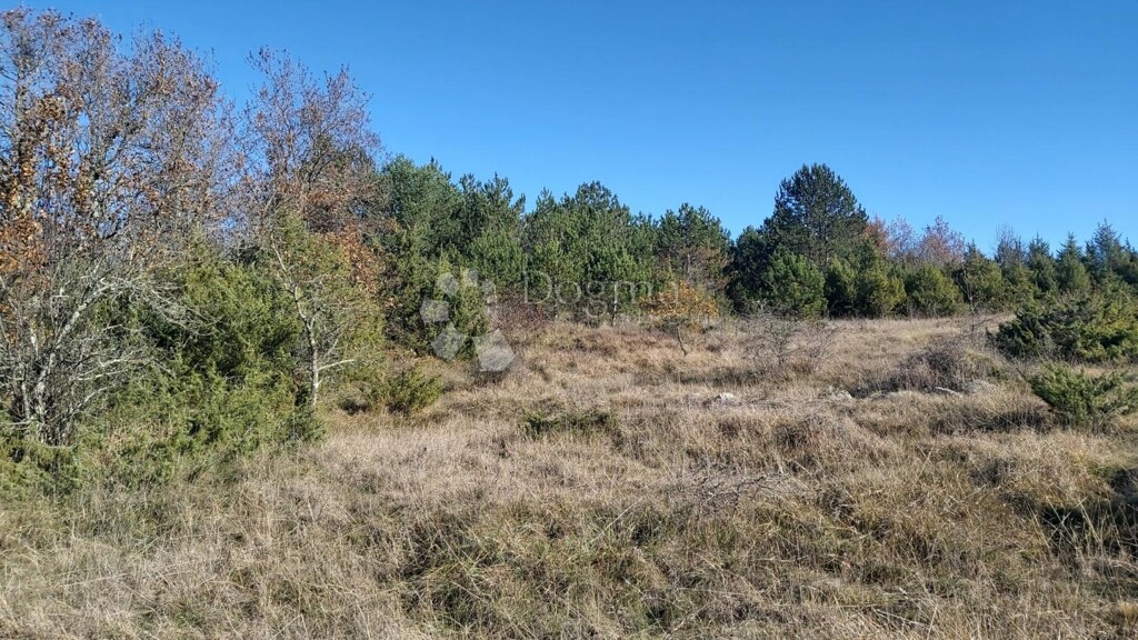 Image 6191860 - 2