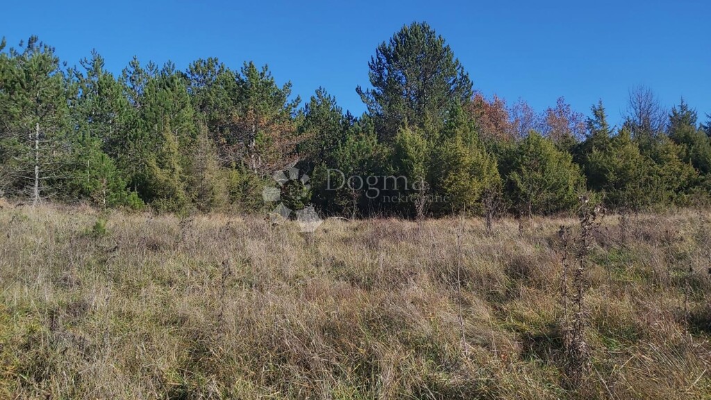 Image 6191860 - 1