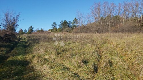 Poljoprivredno zenljište, pašnjak i oranica