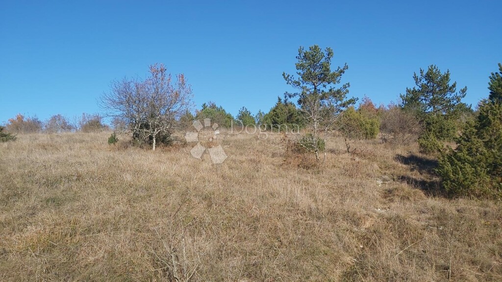 Image 6191863 - 3