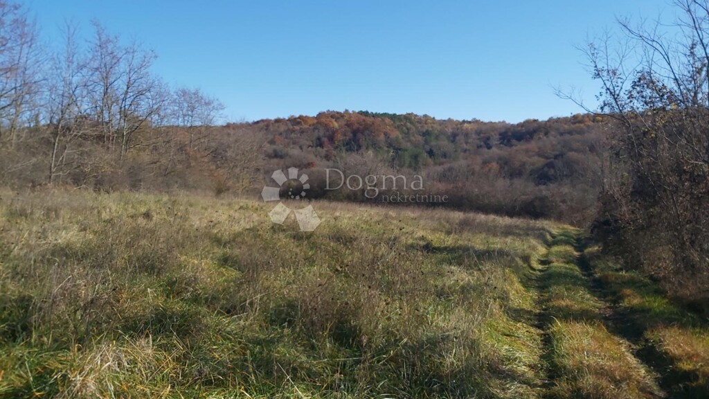 Image 6191863 - 2
