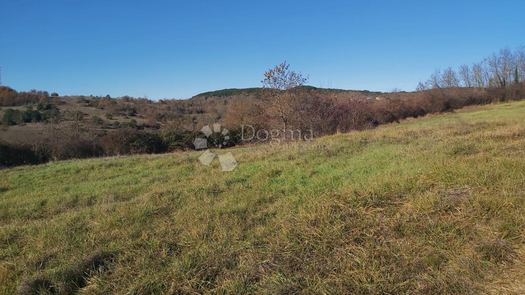 Image 6191863 - 5