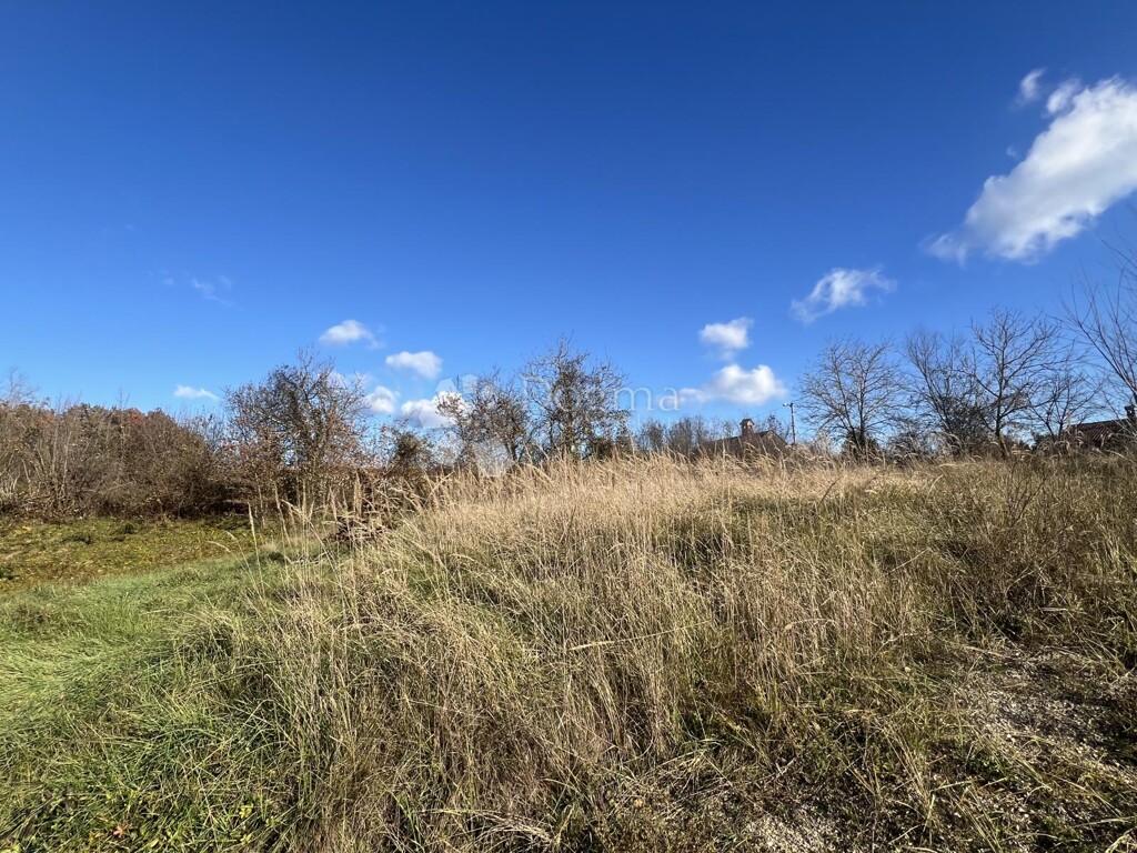 Image 6191864 - 2