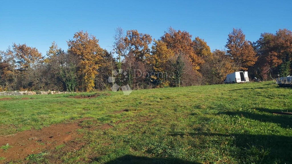 Image 6191865 - 4