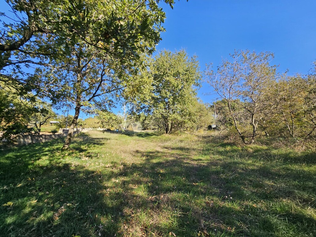 Image 6191867 - 3