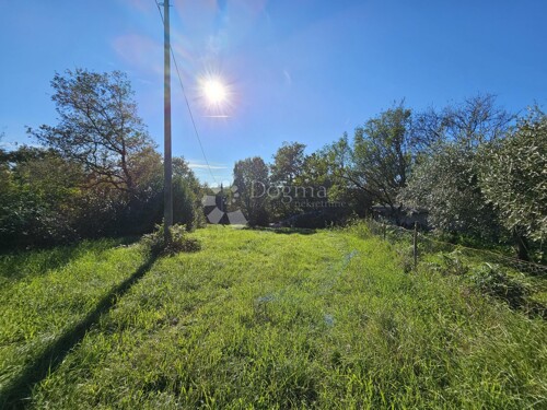 Thumbnail 6191867 - 5