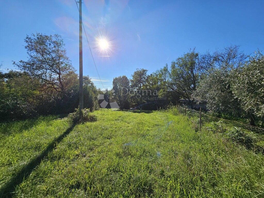 Image 6191867 - 5