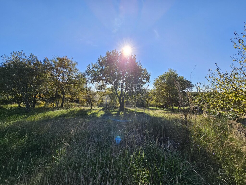 Image 6191867 - 1