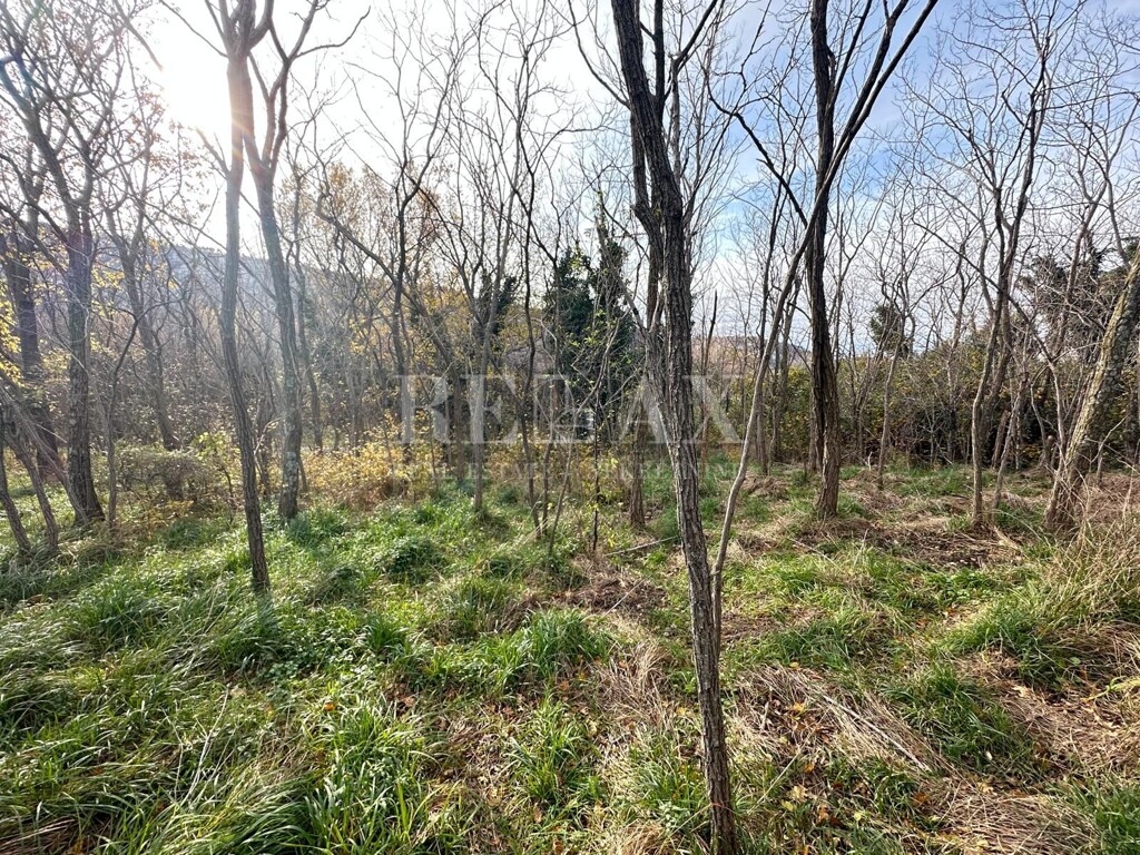 Image 6191935 - 8