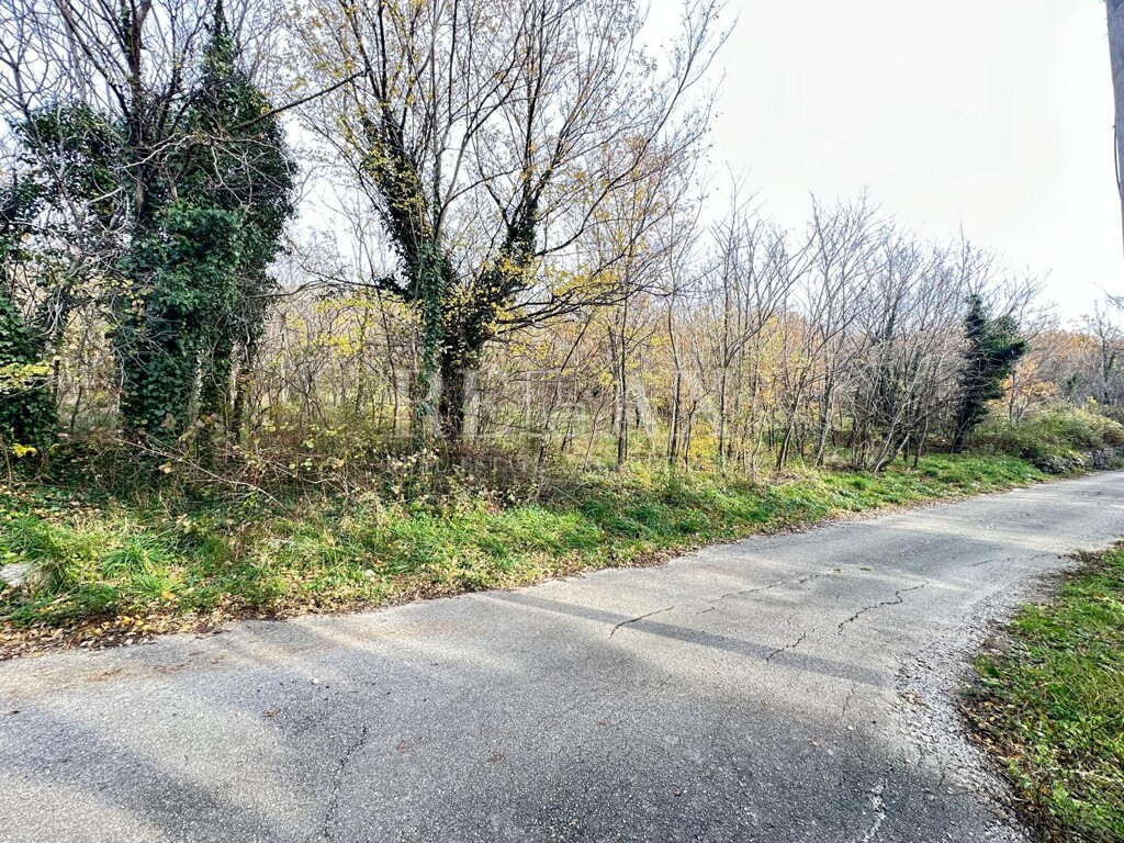 Image 6191935 - 7