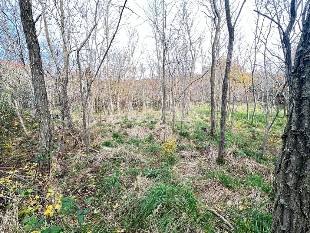 Image 6191937 - 1
