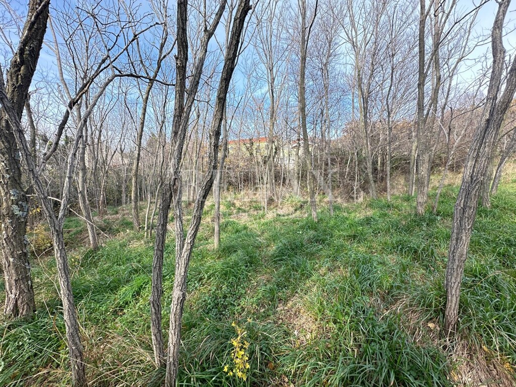 Image 6191937 - 14
