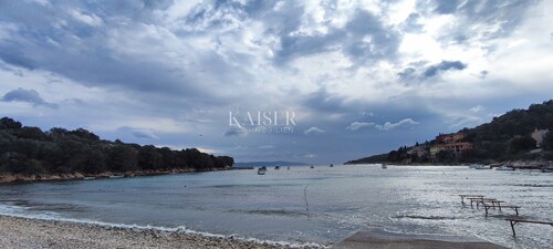 Thumbnail 6191953 - 7