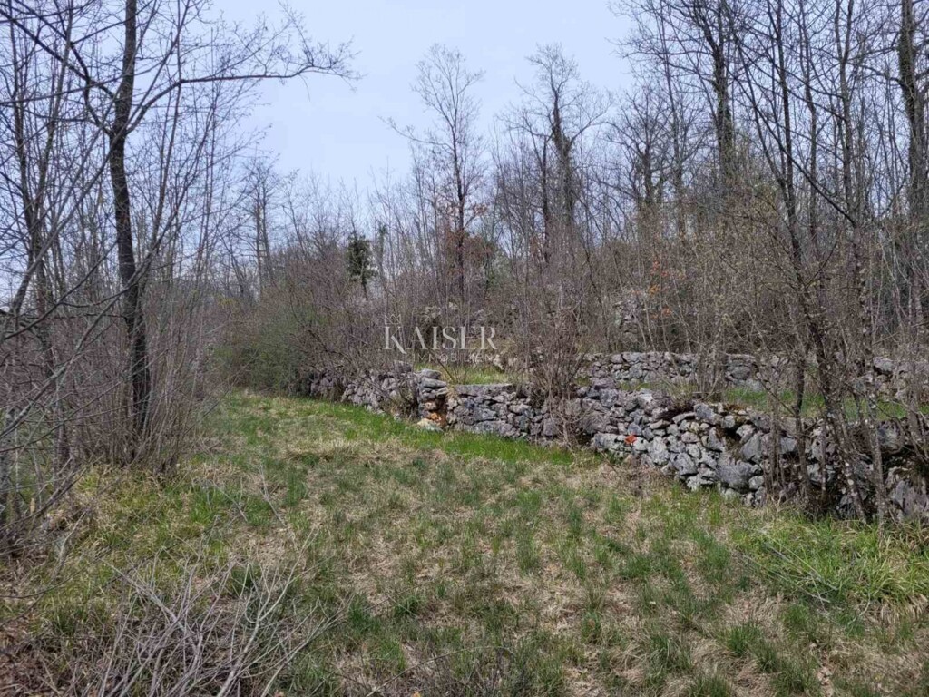 Image 6191957 - 1
