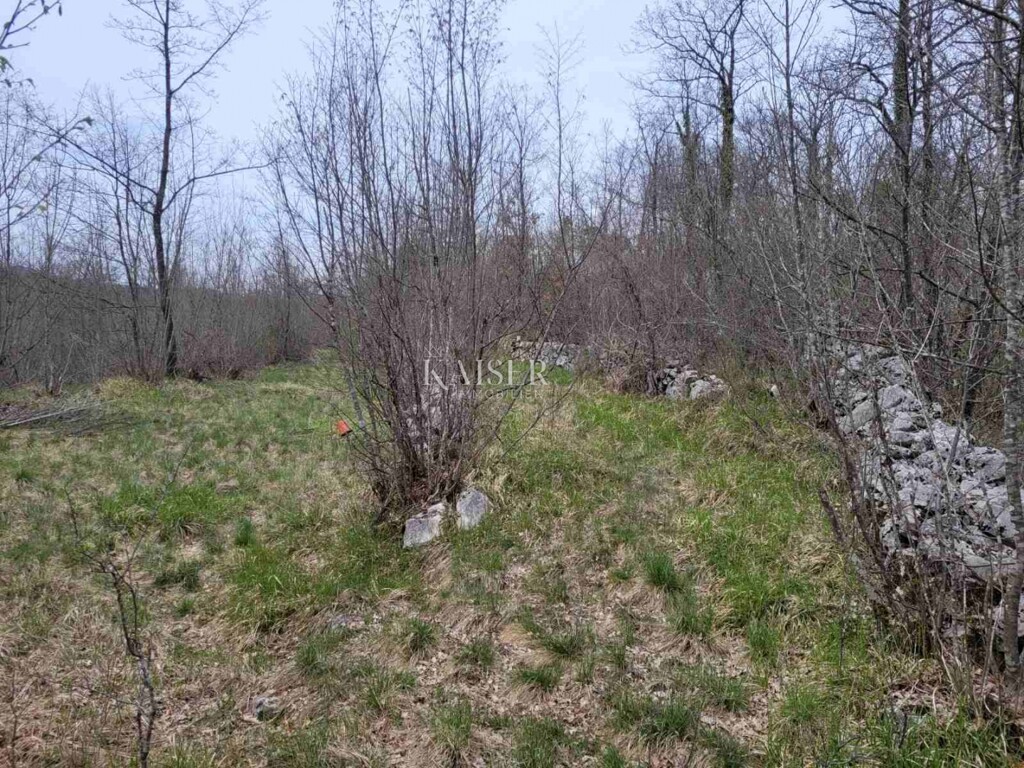 Image 6191957 - 4