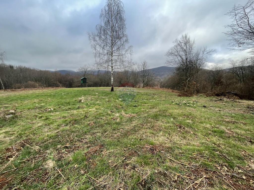 Image 6191981 - 3