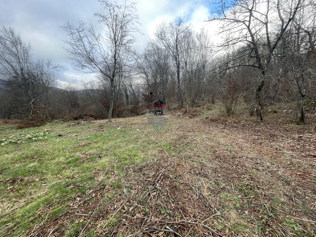 Image 6191981 - 1
