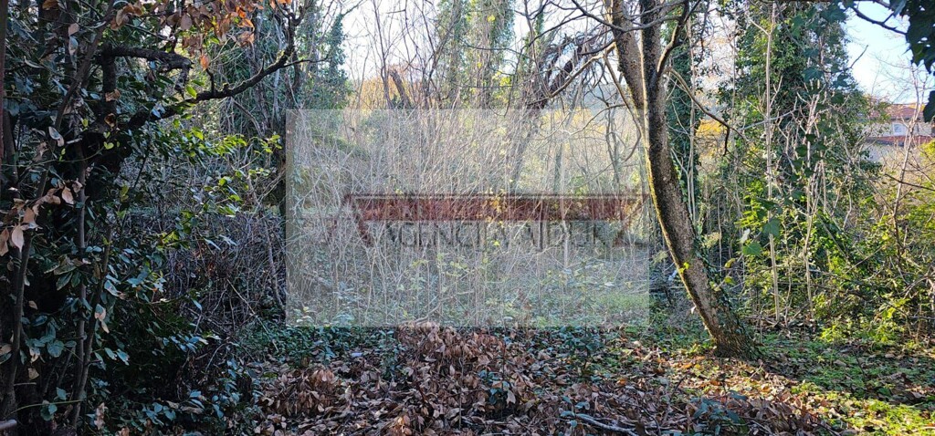 Image 6192037 - 12