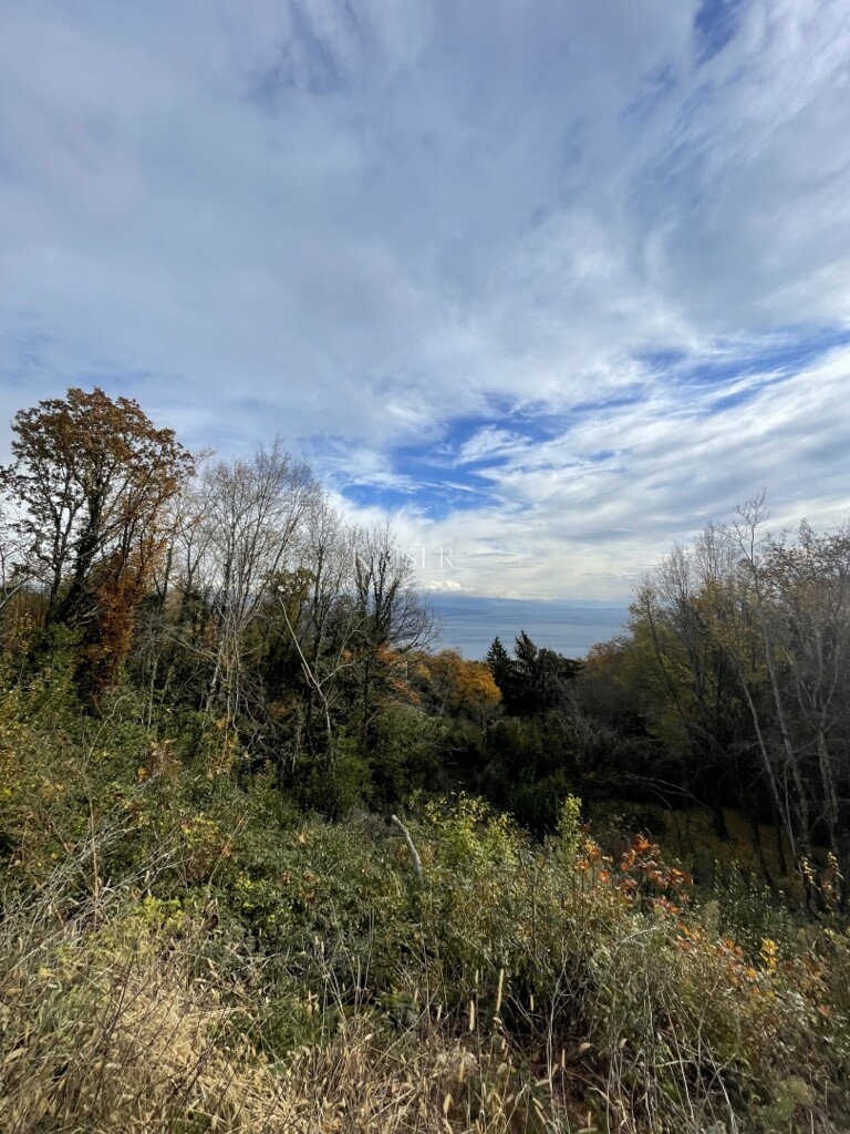 Image 6192541 - 3