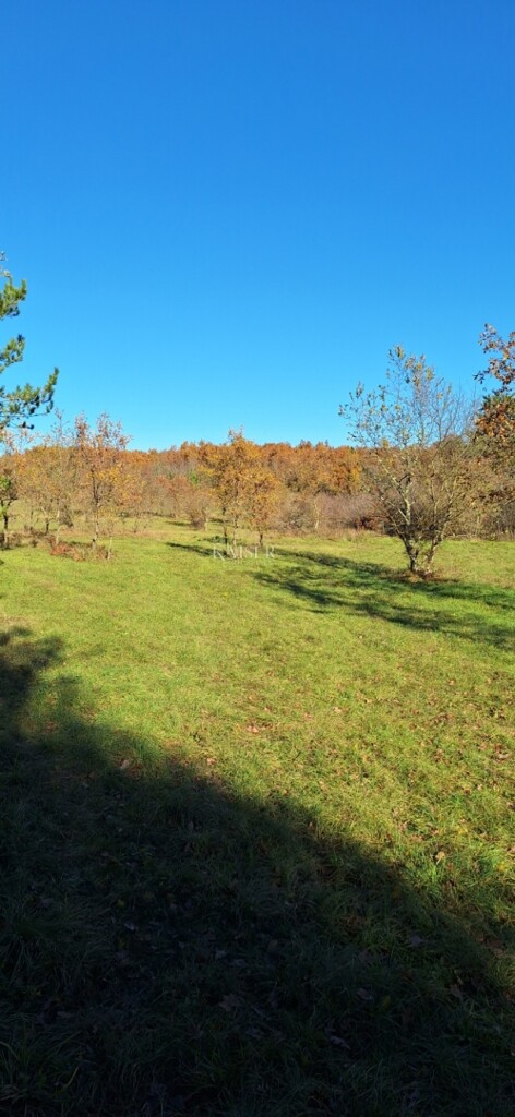 Image 6192542 - 2