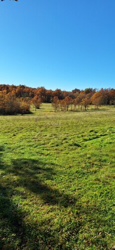 Istra- Višnjan, poljoprivredno zemljište 4 hektara