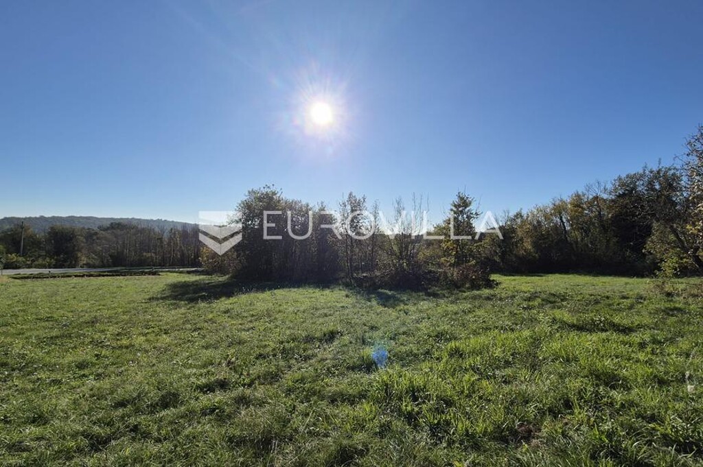 Image 6192956 - 3