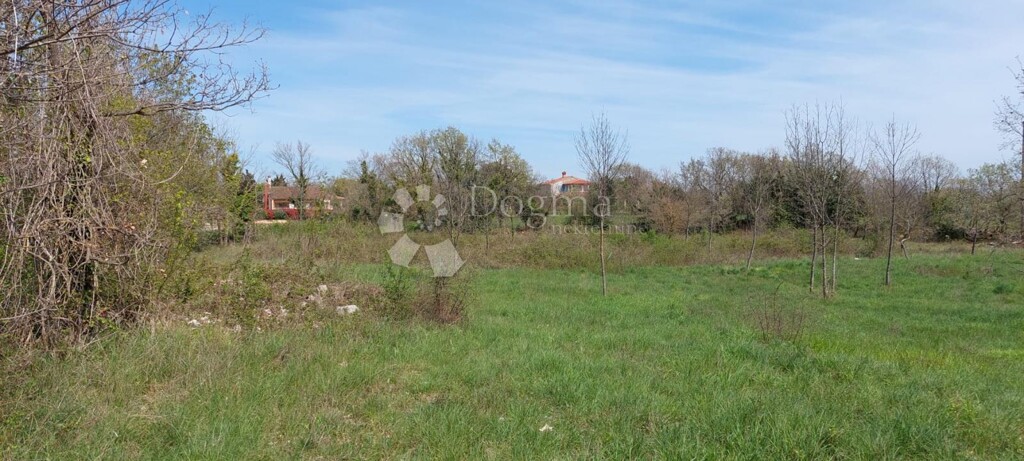 Image 6192996 - 1