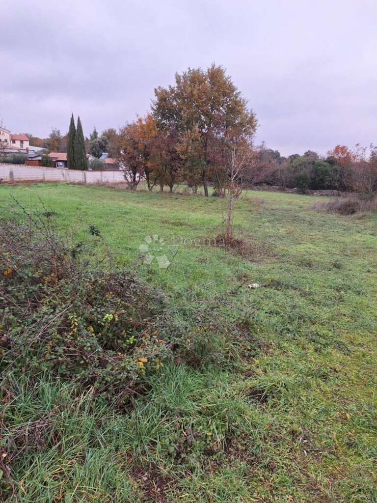 Image 6193002 - 3