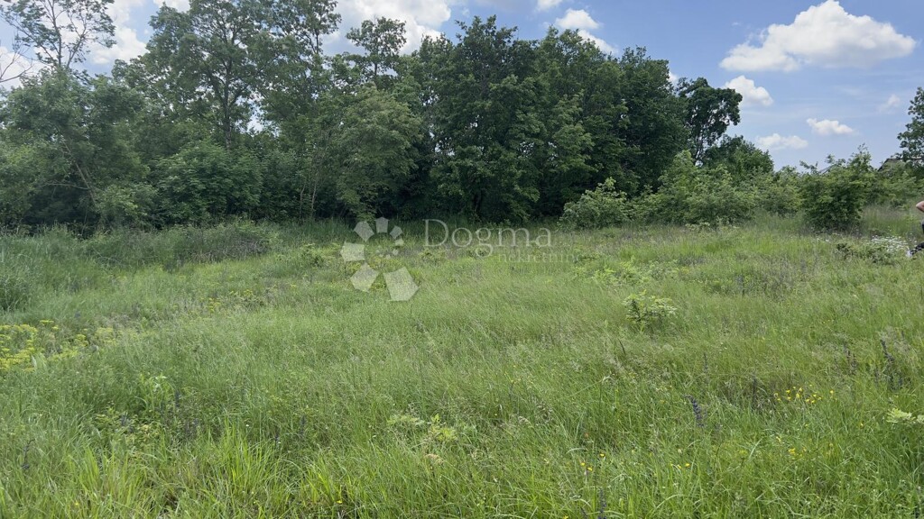 Image 6193013 - 3