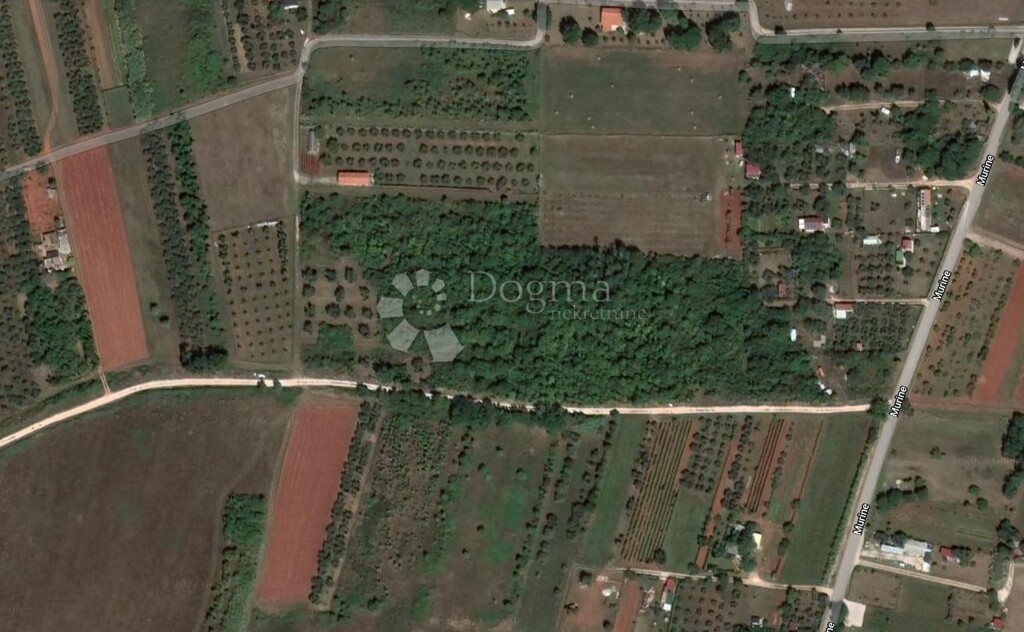 Image 6193015 - 5