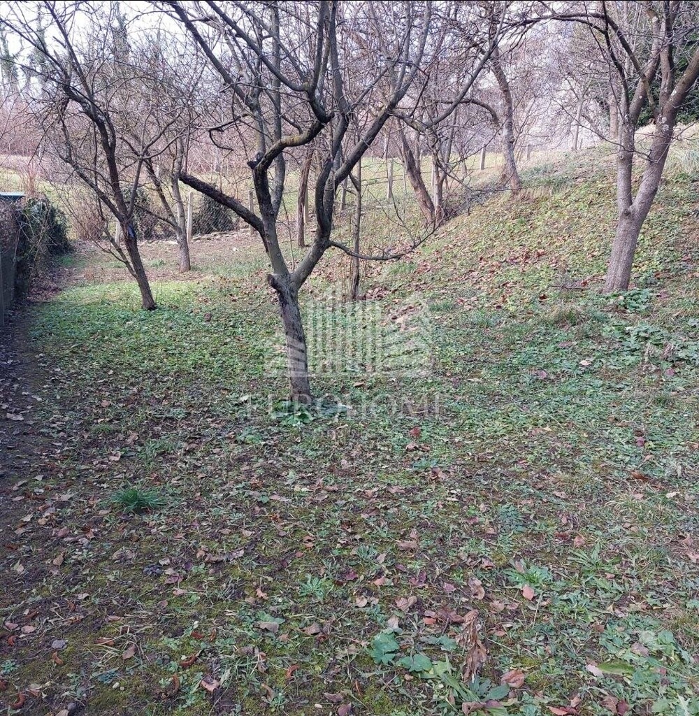 Image 6193034 - 7