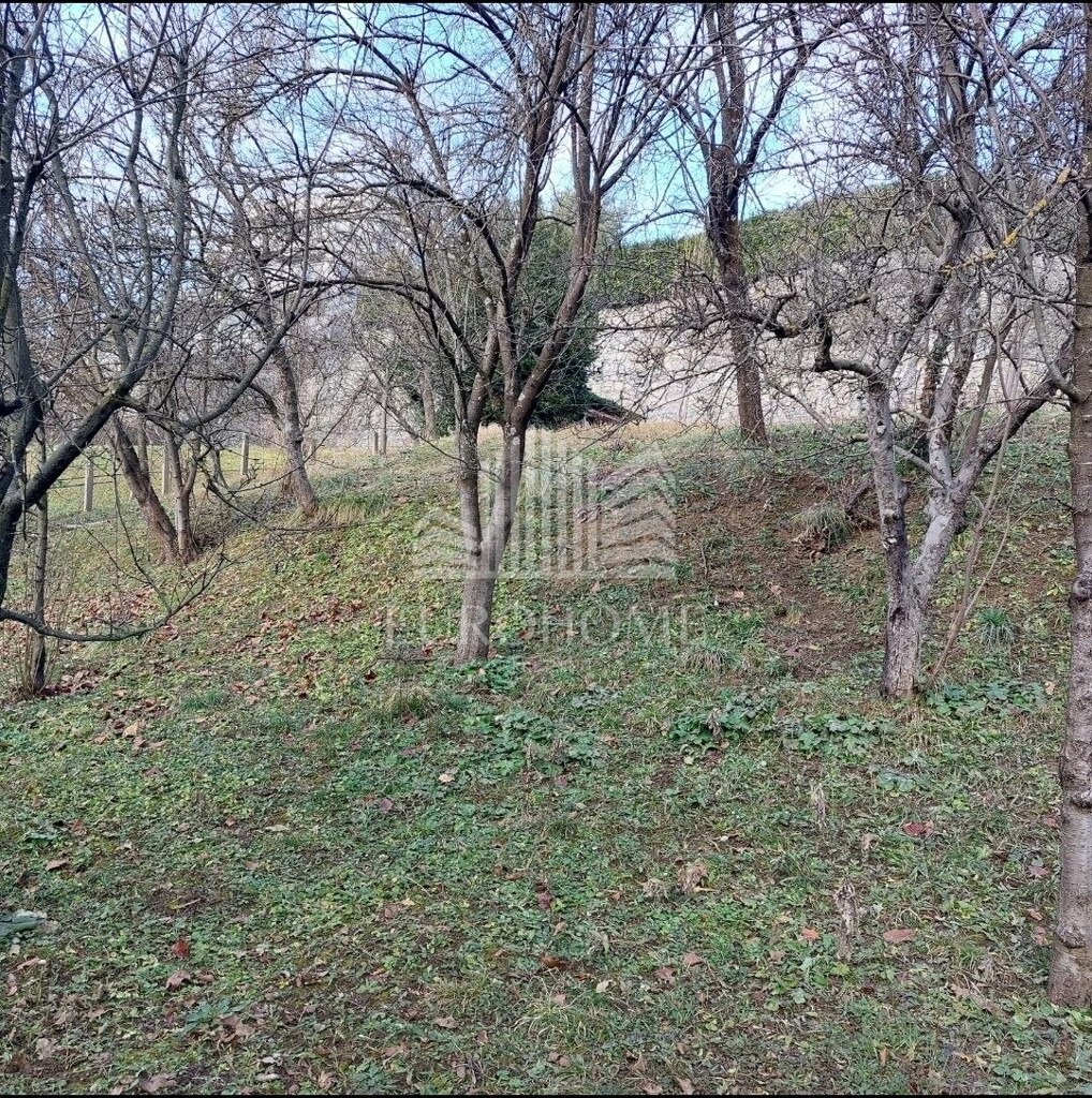 Image 6193034 - 8
