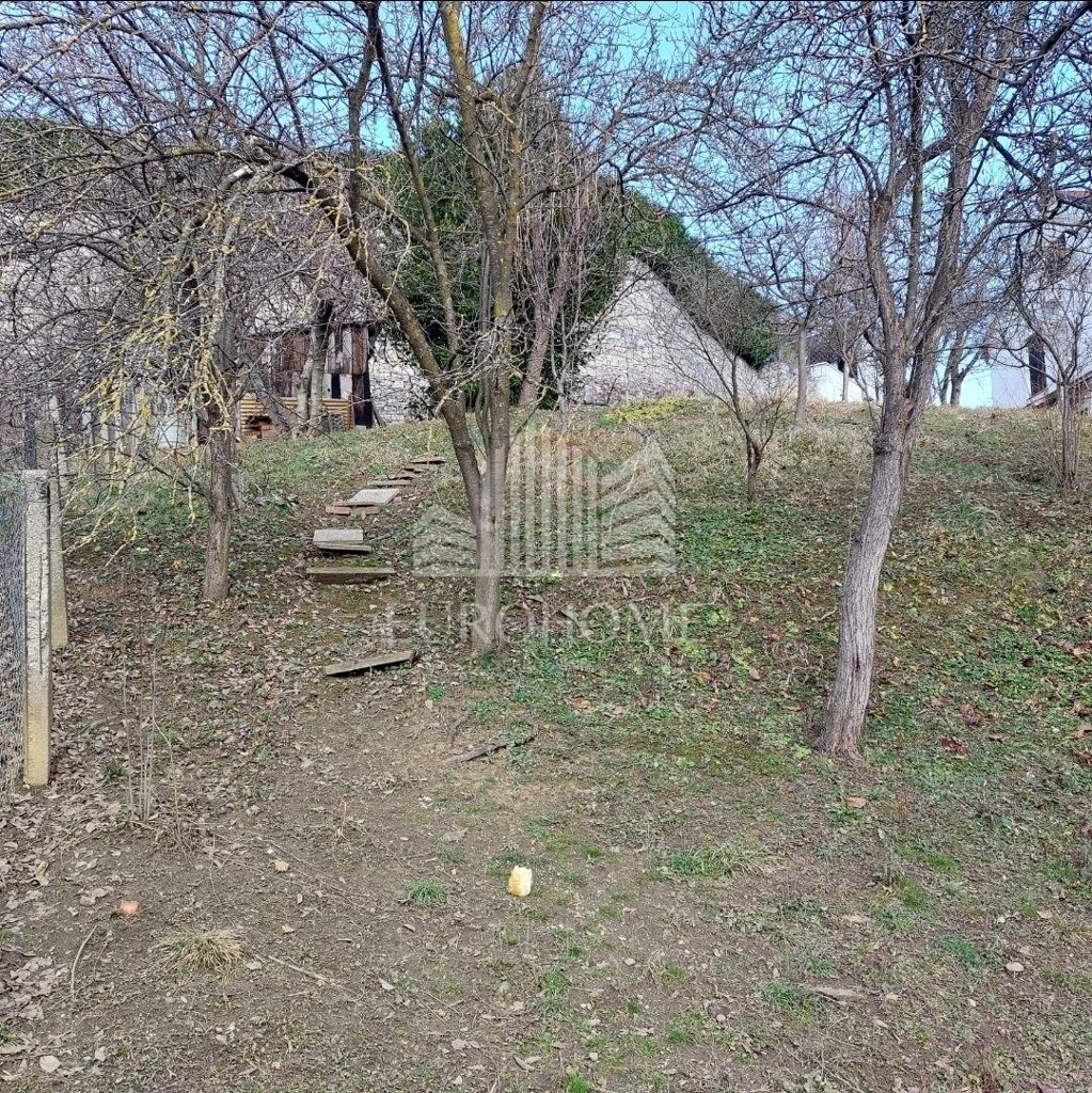 Image 6193034 - 4