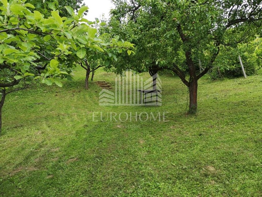 Image 6193035 - 1