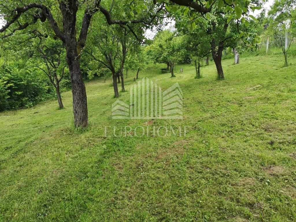 Image 6193035 - 3