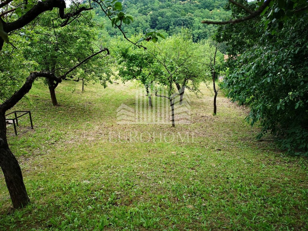 Image 6193035 - 9