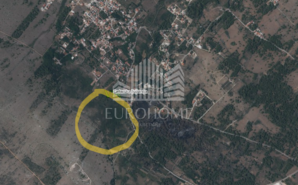 Image 6193037 - 1