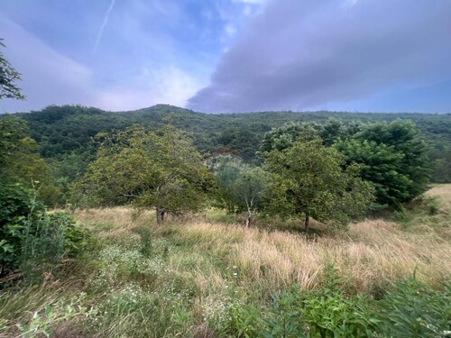 Istra, Cunjci - građeinski teren i ruševna kuća u nizu sa im