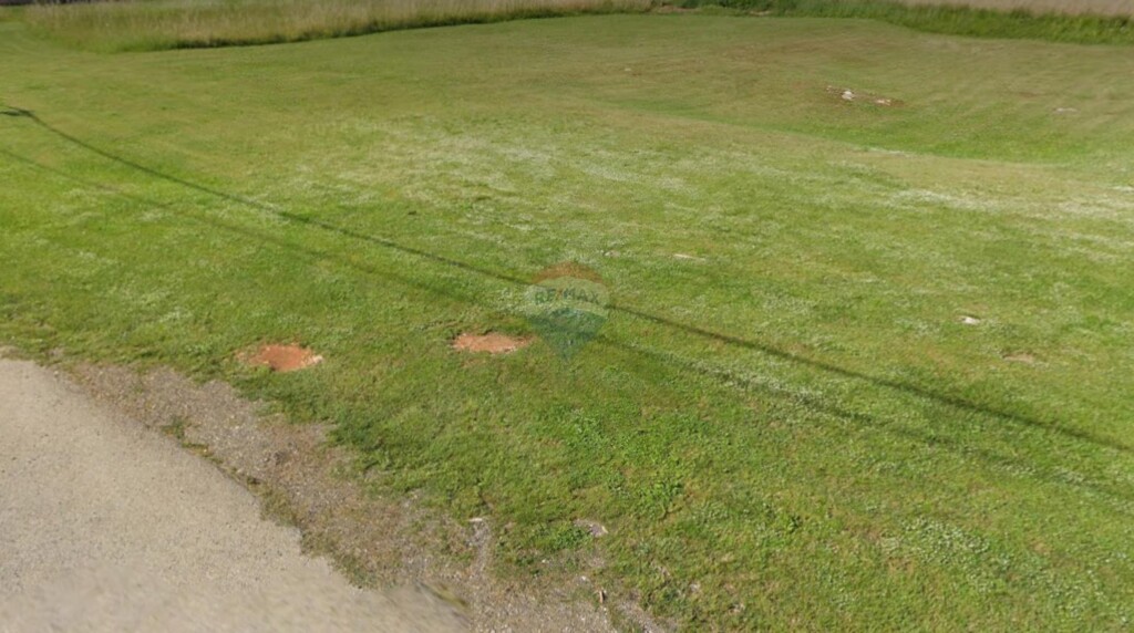 Image 6193222 - 2