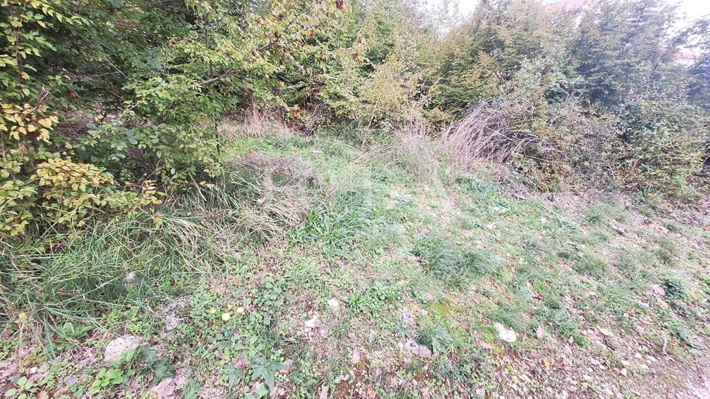 Image 6197305 - 2