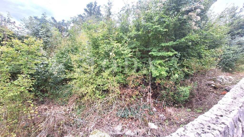 Image 6197305 - 1