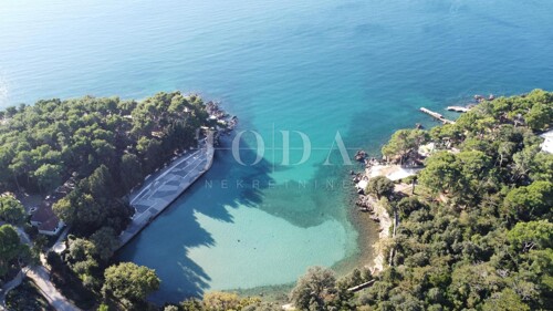 Thumbnail 6197306 - 16