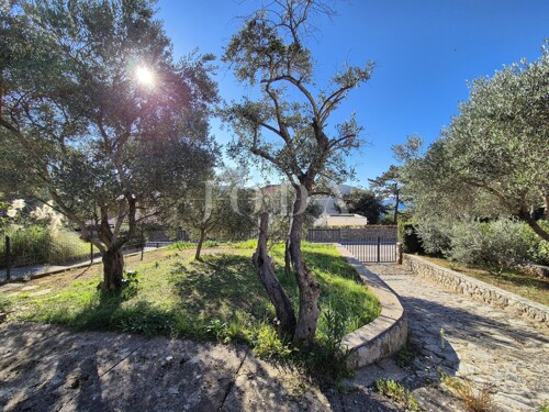 Thumbnail 6197306 - 5