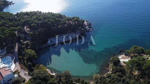 Thumbnail 6197306 - 17