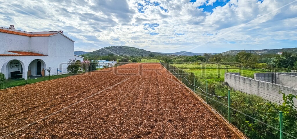 Image 6197468 - 1