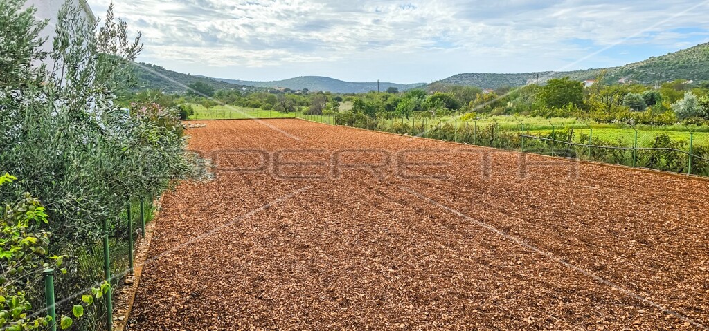 Image 6197468 - 18