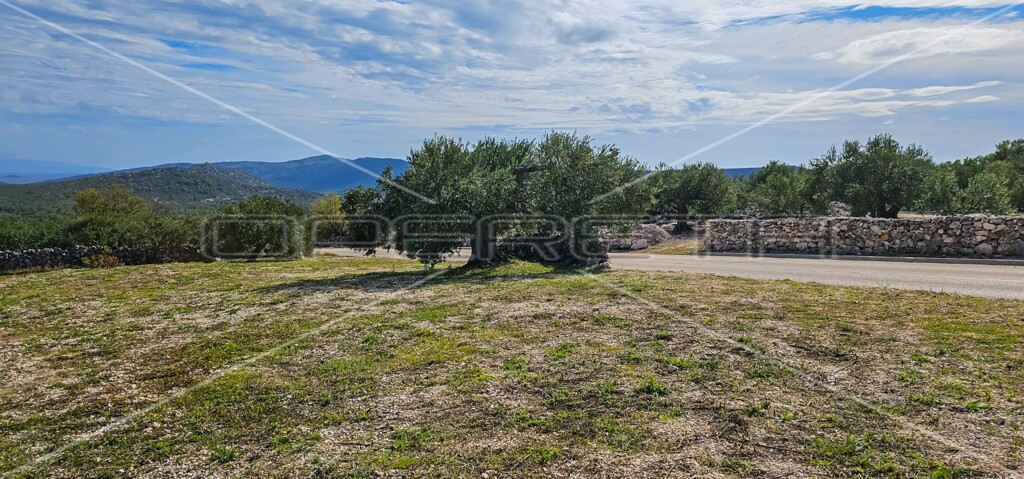 Image 6197469 - 15