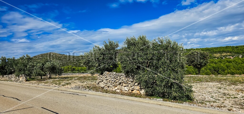 Image 6197469 - 5