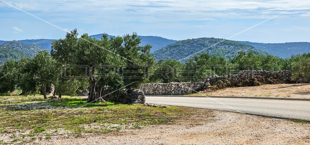 Image 6197469 - 4