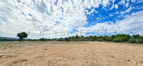 Thumbnail 6197469 - 9